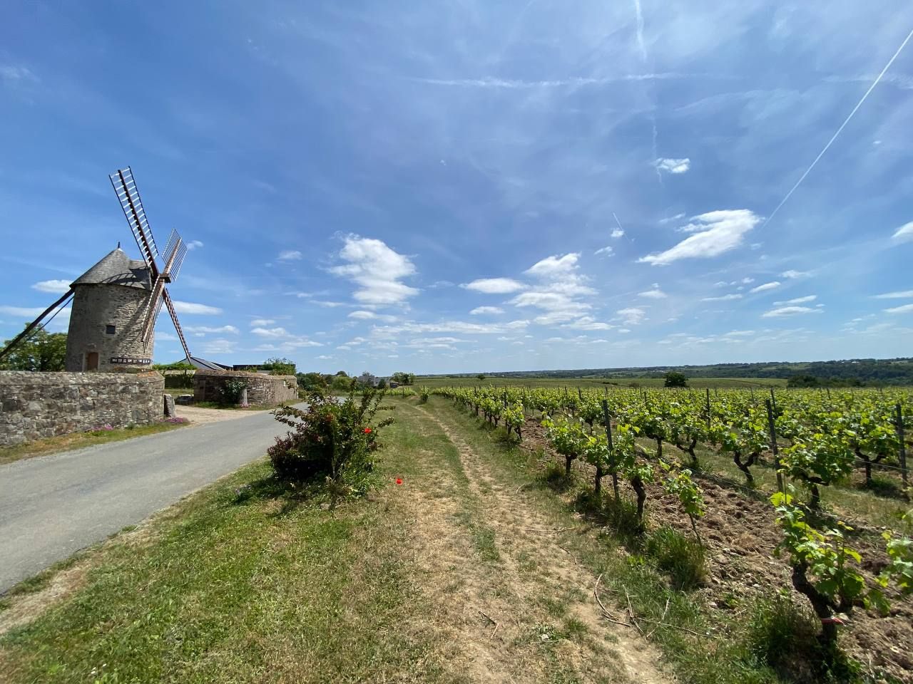 1tour2roues [ Balade en trottinette Expérience entre Loire et Layon