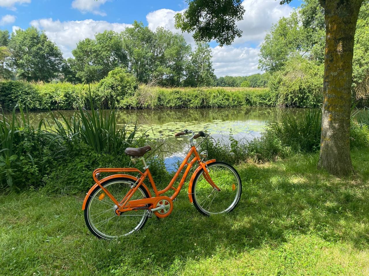 1tour2roues | Location de vélo électrique et musculaire entre Loire et Layon