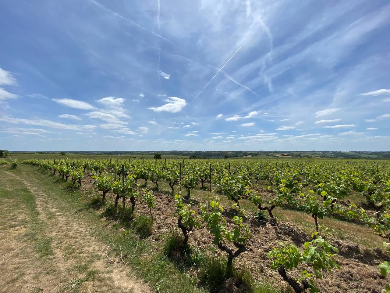 1tour2roues | Circuit vélo Dégustation - Terroirs et bords de Loire