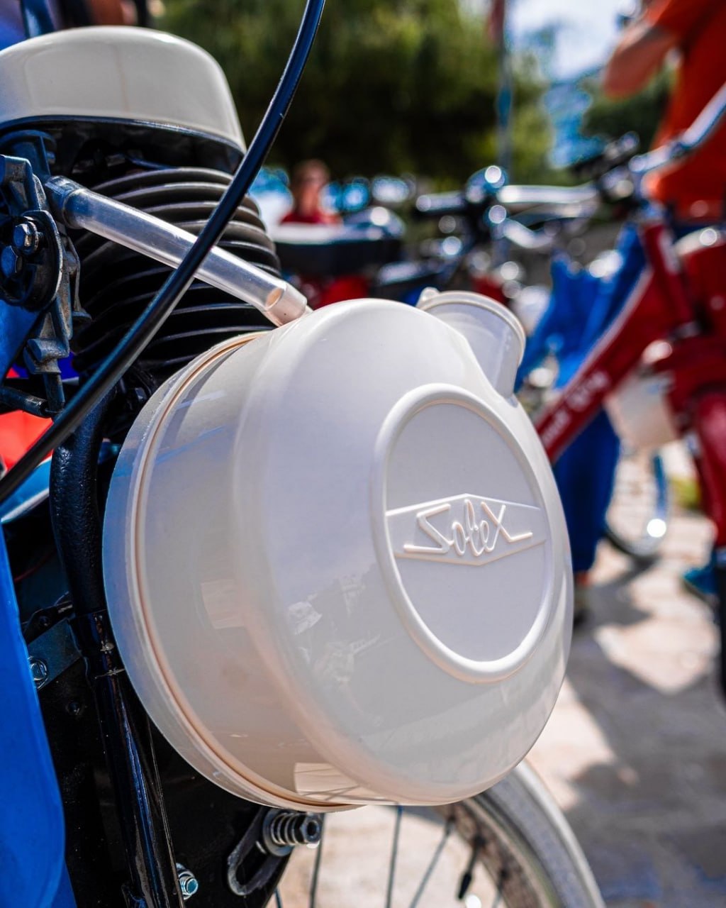 1tour2roues | Escapade VéloSolex Nature - Sur les coteaux du Layon