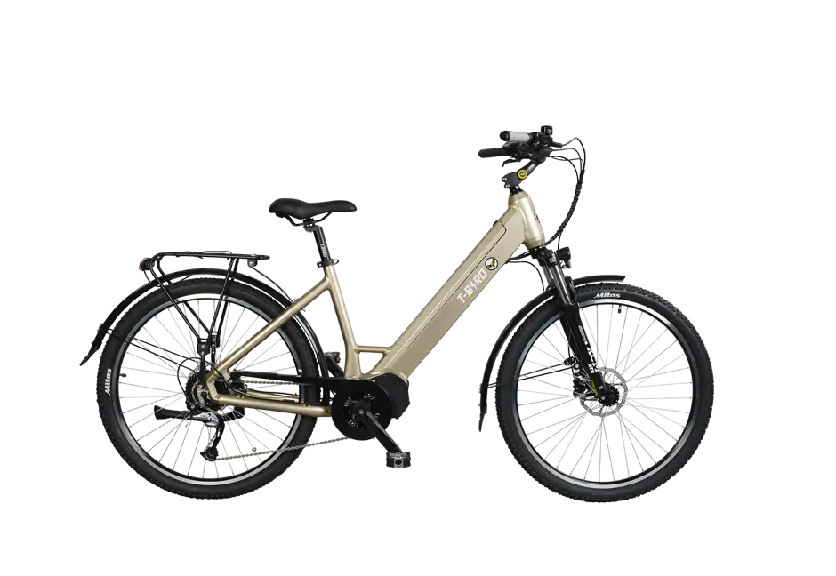 Vélo électrique polyvalent T-Bird Golden Gate