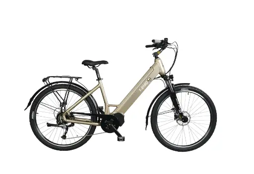 Vélo électrique polyvalent T-Bird Golden Gate