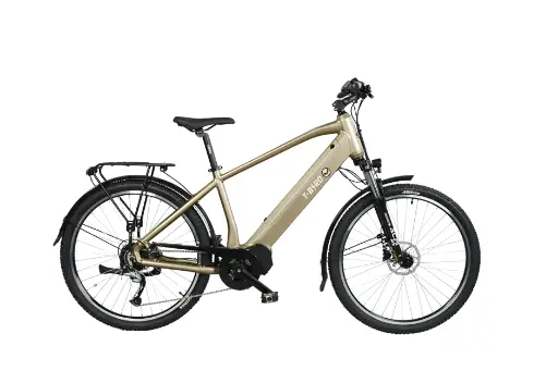 Vélo électrique polyvalent T-Bird Golden Gate Sport